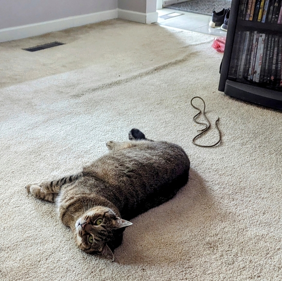 Meet your Posher, Ashley - Picture 1 of 3